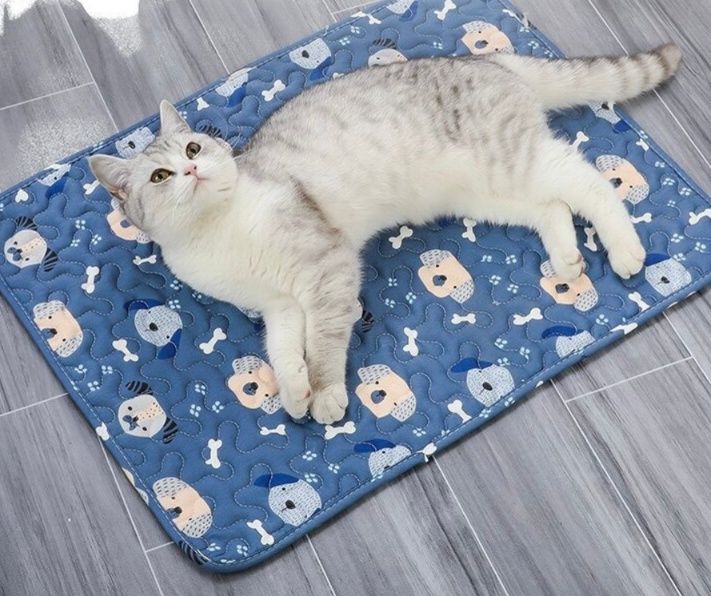 https://fulmo-img-server.com/meownest/1783484770597_yn2l5hf2_w4z64mq6.jpeg