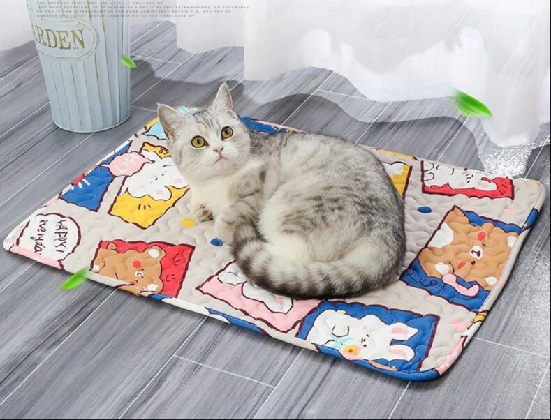 https://fulmo-img-server.com/meownest/1783484789745_e9r6pw0x_i05tmjk0.jpeg
