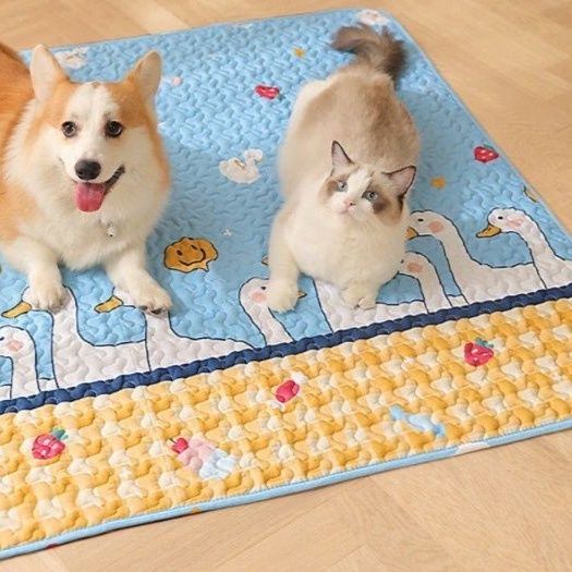 https://fulmo-img-server.com/meownest/1783735526700_h2veoaif_grshwgmj.jpeg