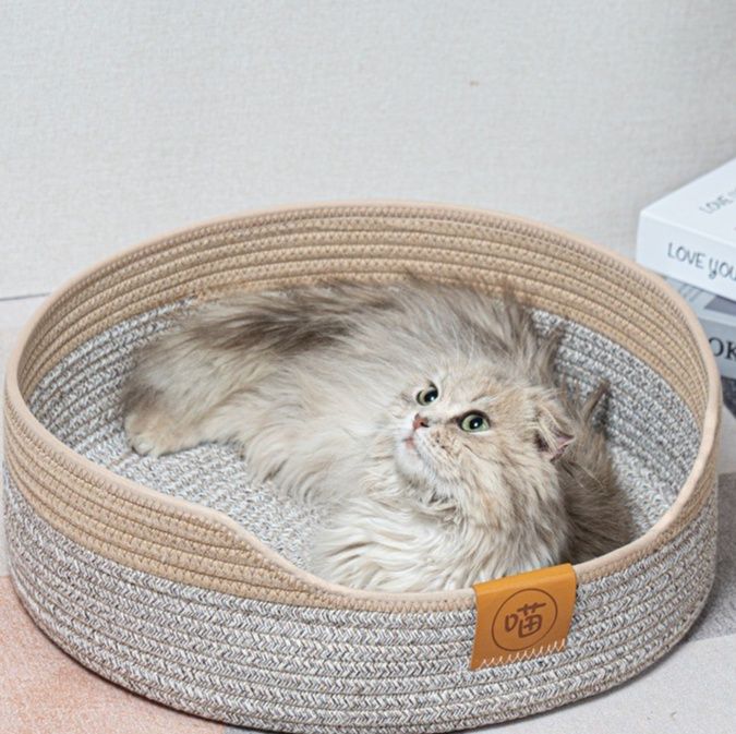 https://fulmo-img-server.com/meownest/1785976395440_o0cp4bdl_vdv1j6x7.jpeg