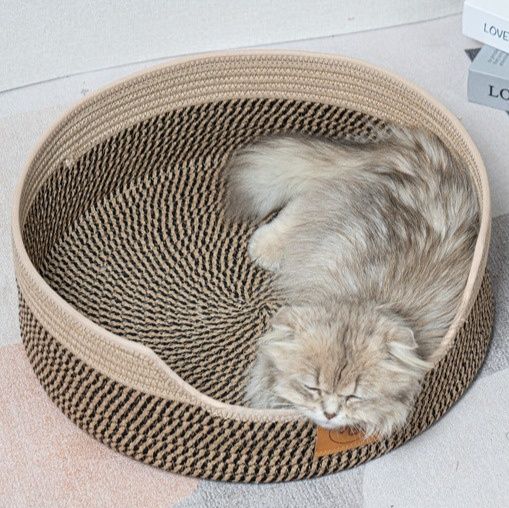 https://fulmo-img-server.com/meownest/1785976407065_00kng0mh_1w9191kv.jpeg