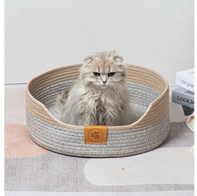 https://fulmo-img-server.com/meownest/1785976421871_ot0dc15p_y3186gz3.jpeg
