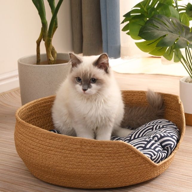 https://fulmo-img-server.com/meownest/1785979332873_ax0q07rb_14brvtol.jpeg