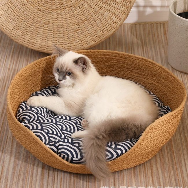 https://fulmo-img-server.com/meownest/1785979365825_wulesg6t_zrlm1x3b.jpeg