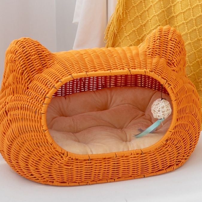 https://fulmo-img-server.com/meownest/1785987424233_8zpz5y0m_tyqwjbwj.jpeg