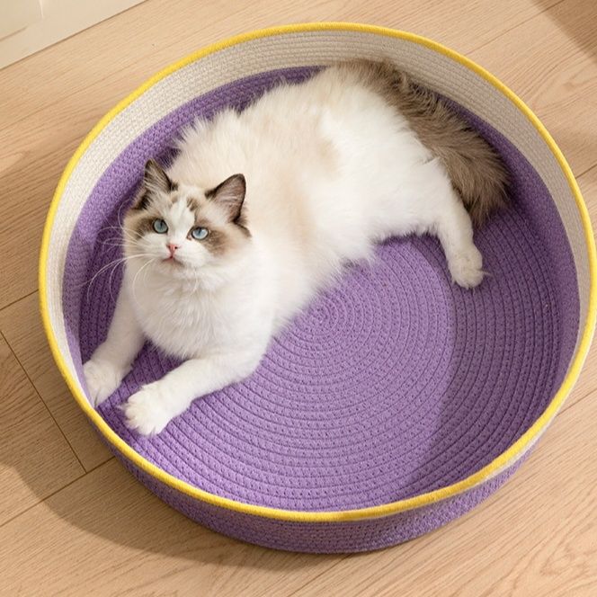 https://fulmo-img-server.com/meownest/1785988667908_nqp4kmj6_q99g1b1y.jpeg