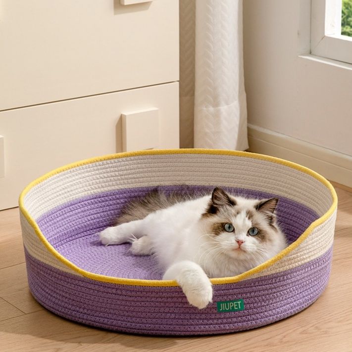 https://fulmo-img-server.com/meownest/1785988693748_hte0ej5p_9ytfemaw.jpeg