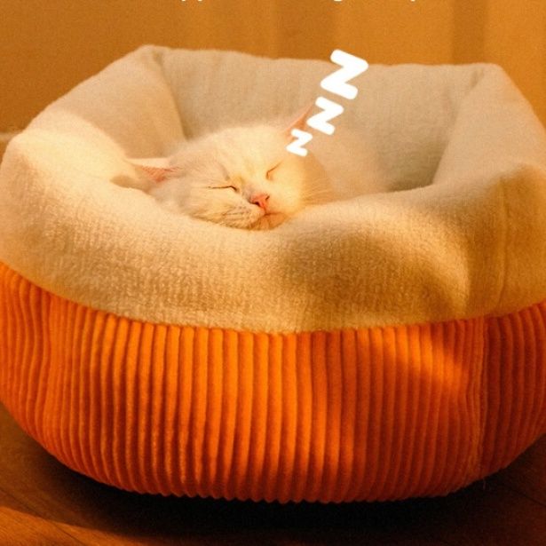 https://fulmo-img-server.com/meownest/1788829324777_okgk6fdc_ybj97h3b.jpeg