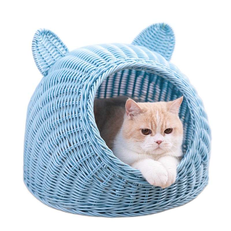 https://fulmo-img-server.com/meownest/58acfb987eb04e79927db76d79d0760d.jepg