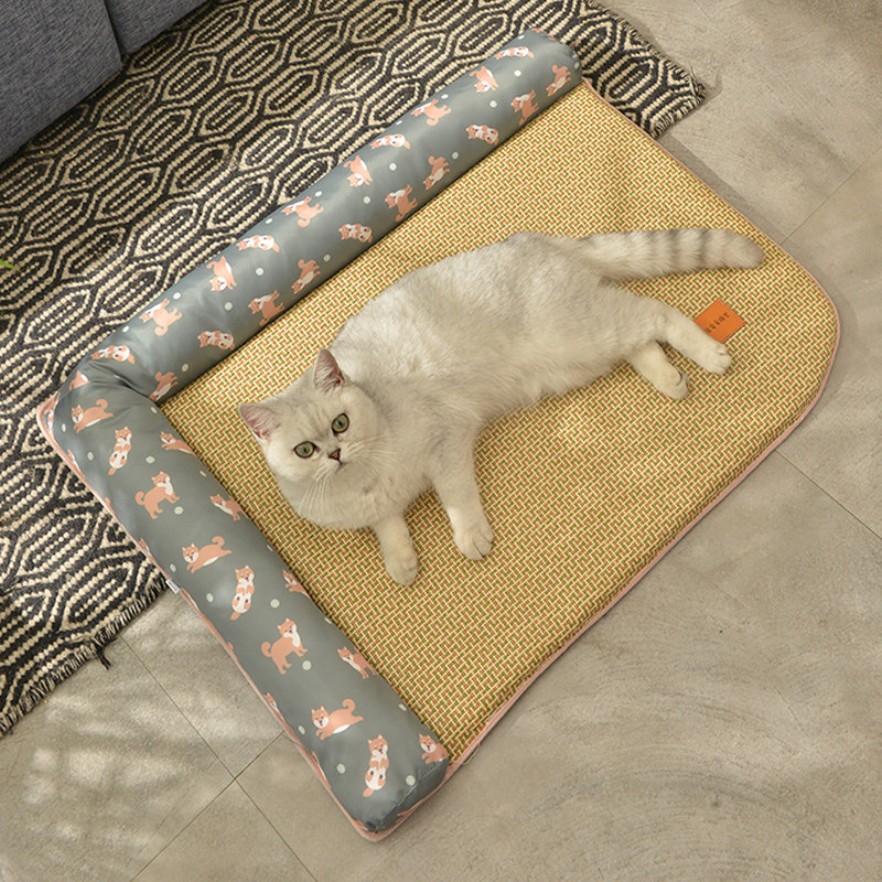 https://fulmo-img-server.com/meownest/75ff6e46-e537-40e8-9f96-805b72bbb175.jpg