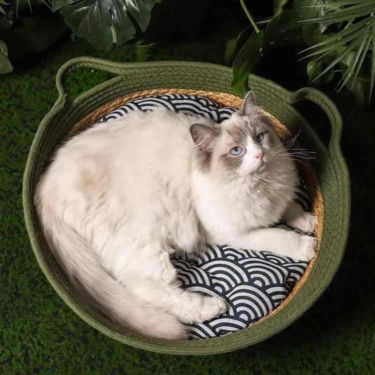 https://fulmo-img-server.com/meownest/7f614a82-0c55-4cbd-949f-c9f311f34f46.jpg