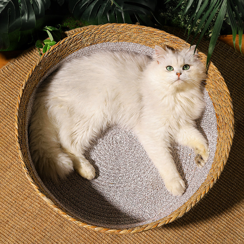 https://fulmo-img-server.com/meownest/93663efc-40b0-4686-964c-21e2ab6c02f2.jpg