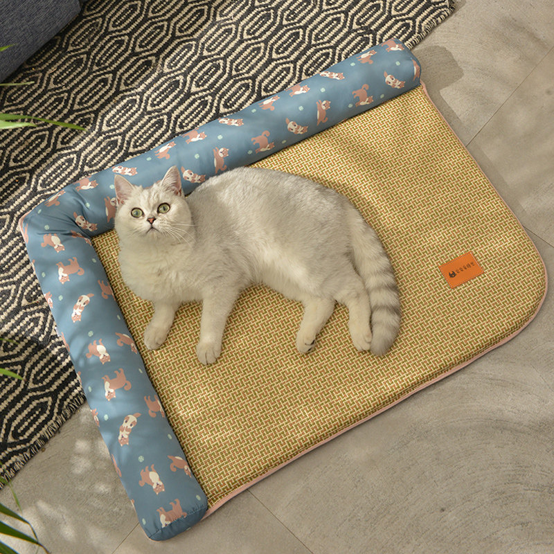 https://fulmo-img-server.com/meownest/b805b7b5-1b05-4c2f-b313-efd5eff0309f.jpg