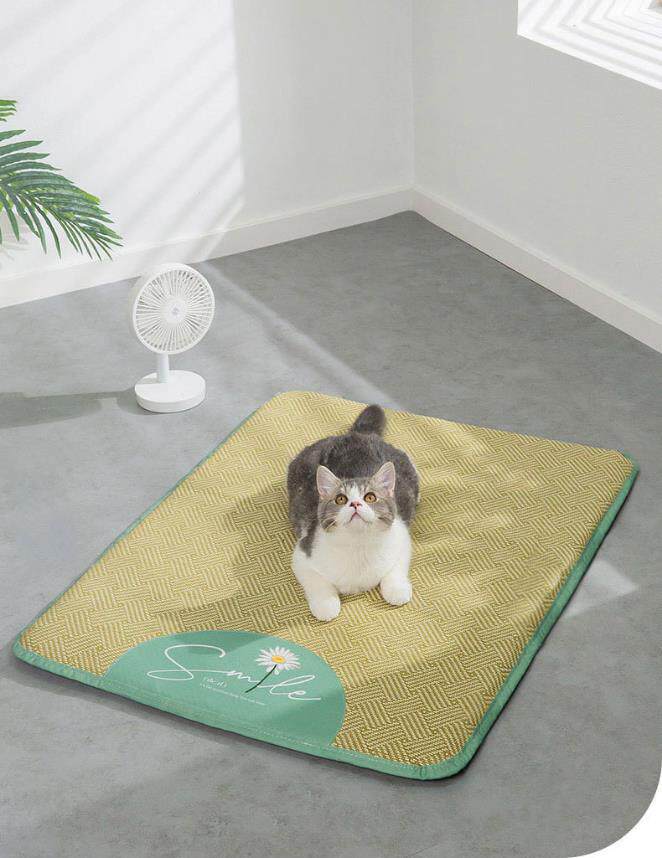 https://fulmo-img-server.com/meownest/f58c75f5-9139-4968-ae4a-dd95175f673a.jpg