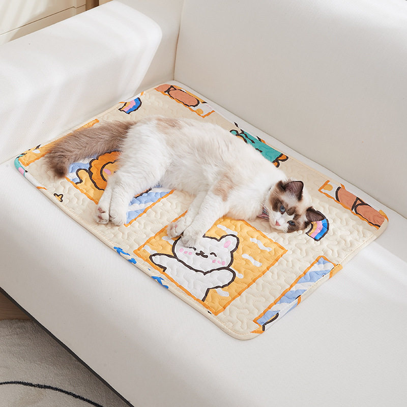 https://fulmo-img-server.com/meownest/f7ad11c3-d5cb-492e-a205-4bc111bec45e.jpg