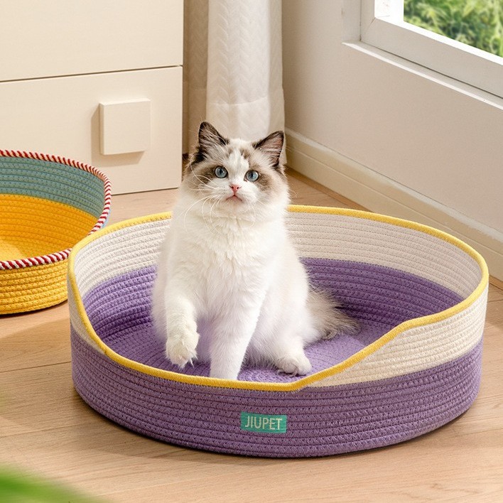 https://fulmo-img-server.com/meownest/fd37763d-715a-4a56-aa33-19b5119667a2.jpg