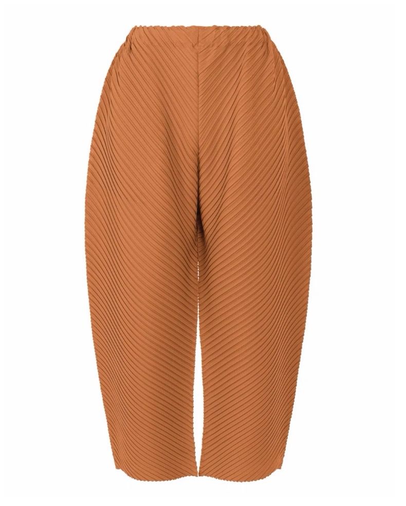 モード系ファッション 【プリーツワイドパンツ】軽やかさと落ち感が美しいモードな一本（ワンサイズ）