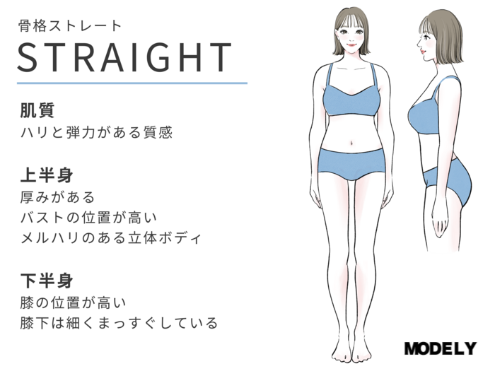 骨格ストレートイラスト