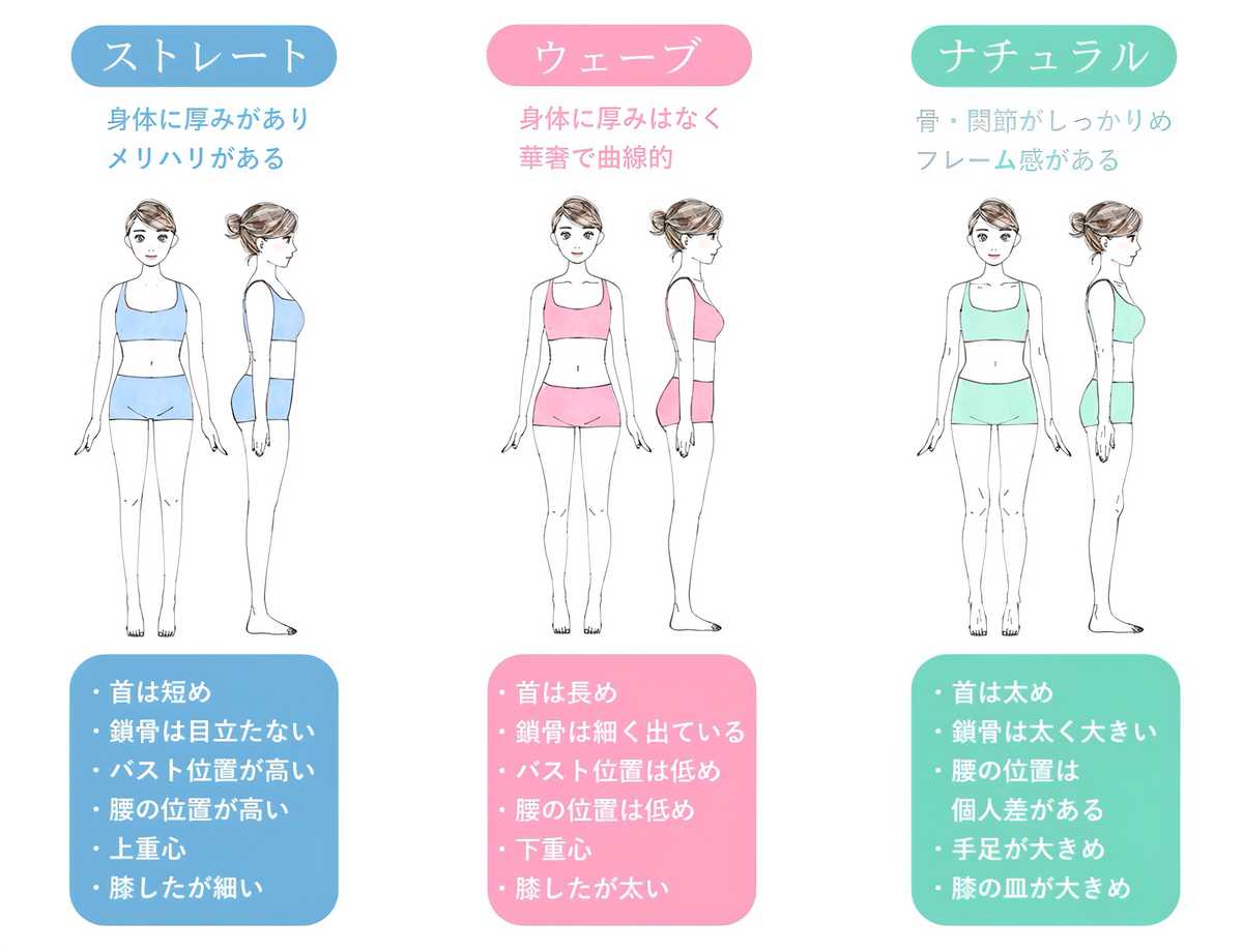 本当に知ってる？！骨格事の特徴とピッタリなスタイル