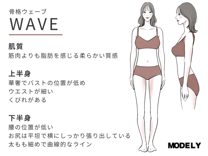 ウェーブさん体型説明