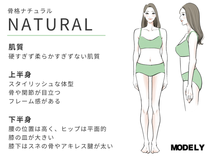 骨格ナチュラル体型イラスト