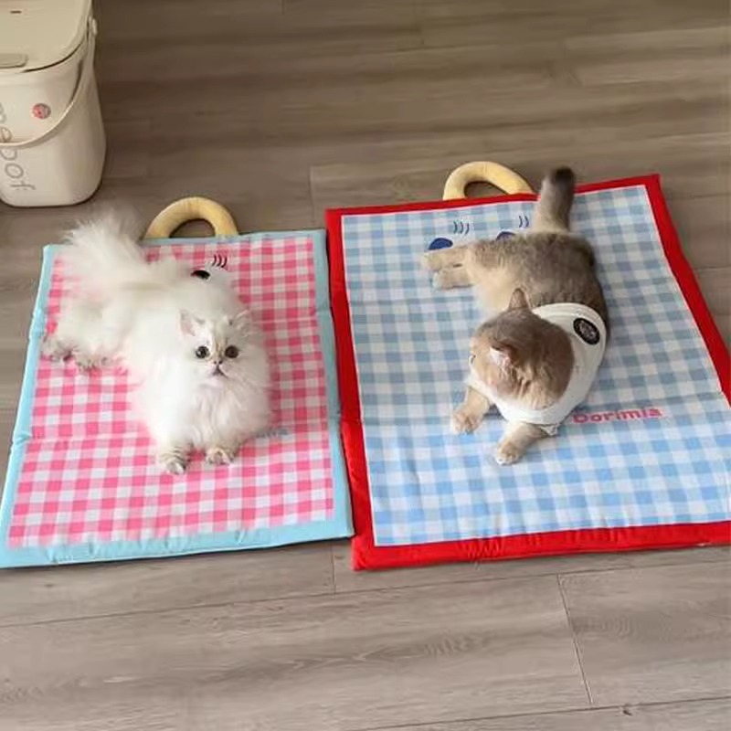 https://fulmo-img-server.com/mofuhug/0ed91277-46f4-436b-854c-3d33c76942b0.jpg