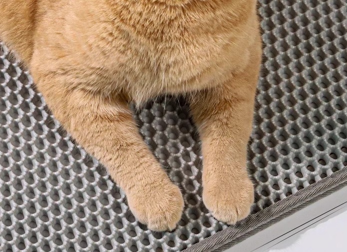 https://fulmo-img-server.com/mofuhug/1739941710487_6kkx7pn3_8apazuff.jpeg