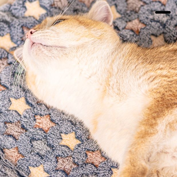 ペットマット 星空おやすみ猫ラグマット