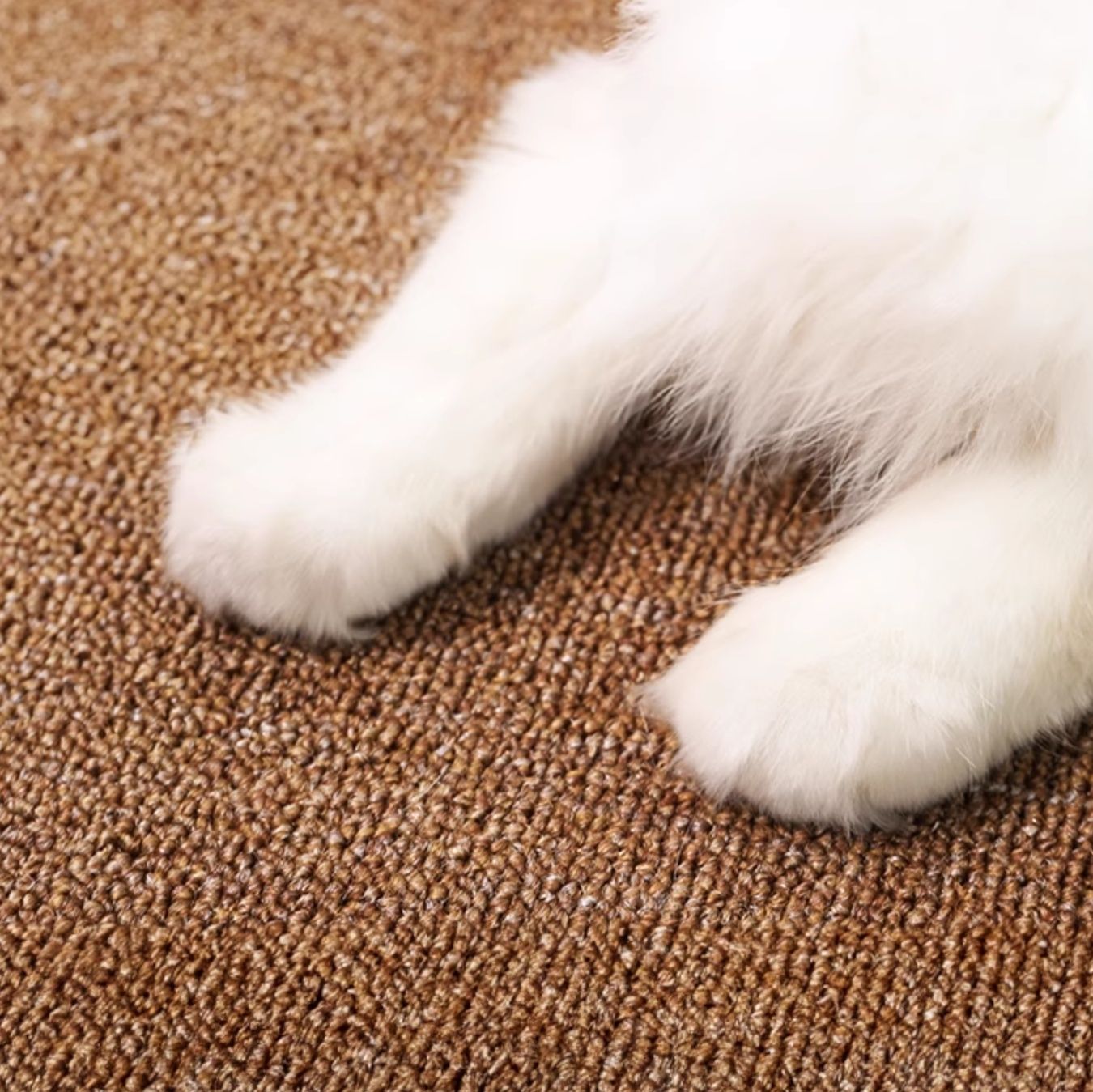 ペットマット なごみ空間 猫用リラックスマット