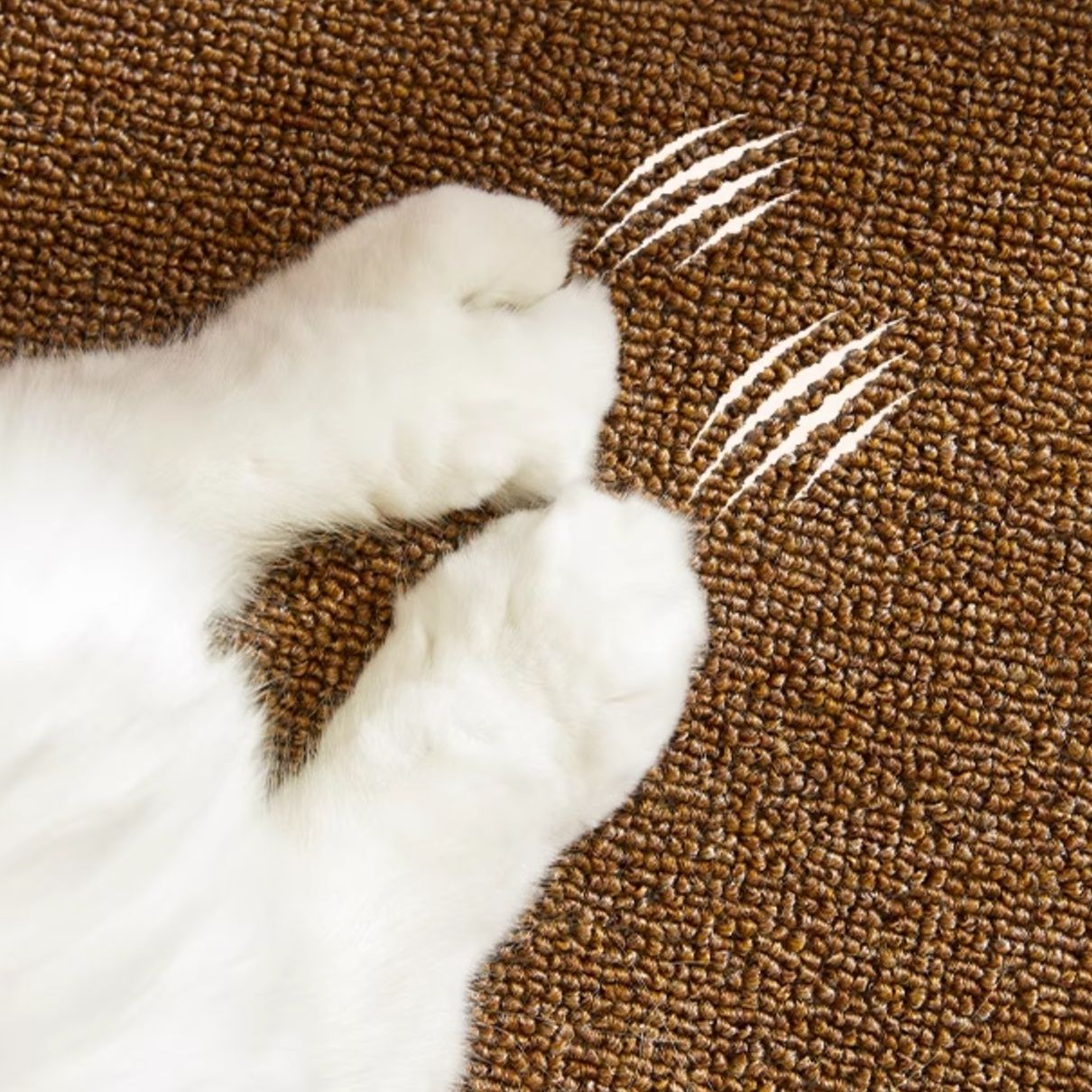 ペットマット ふわもこ猫の遊び場ラグマット