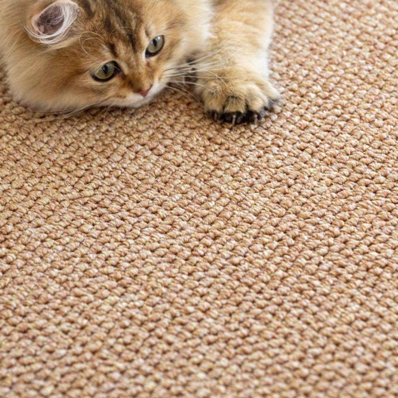 ペットマット 天然素材の猫リラックスマット
