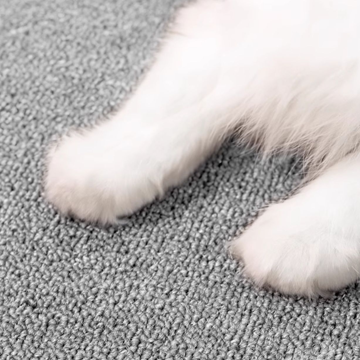 ペットマット もふもふ猫の楽園ラグマット