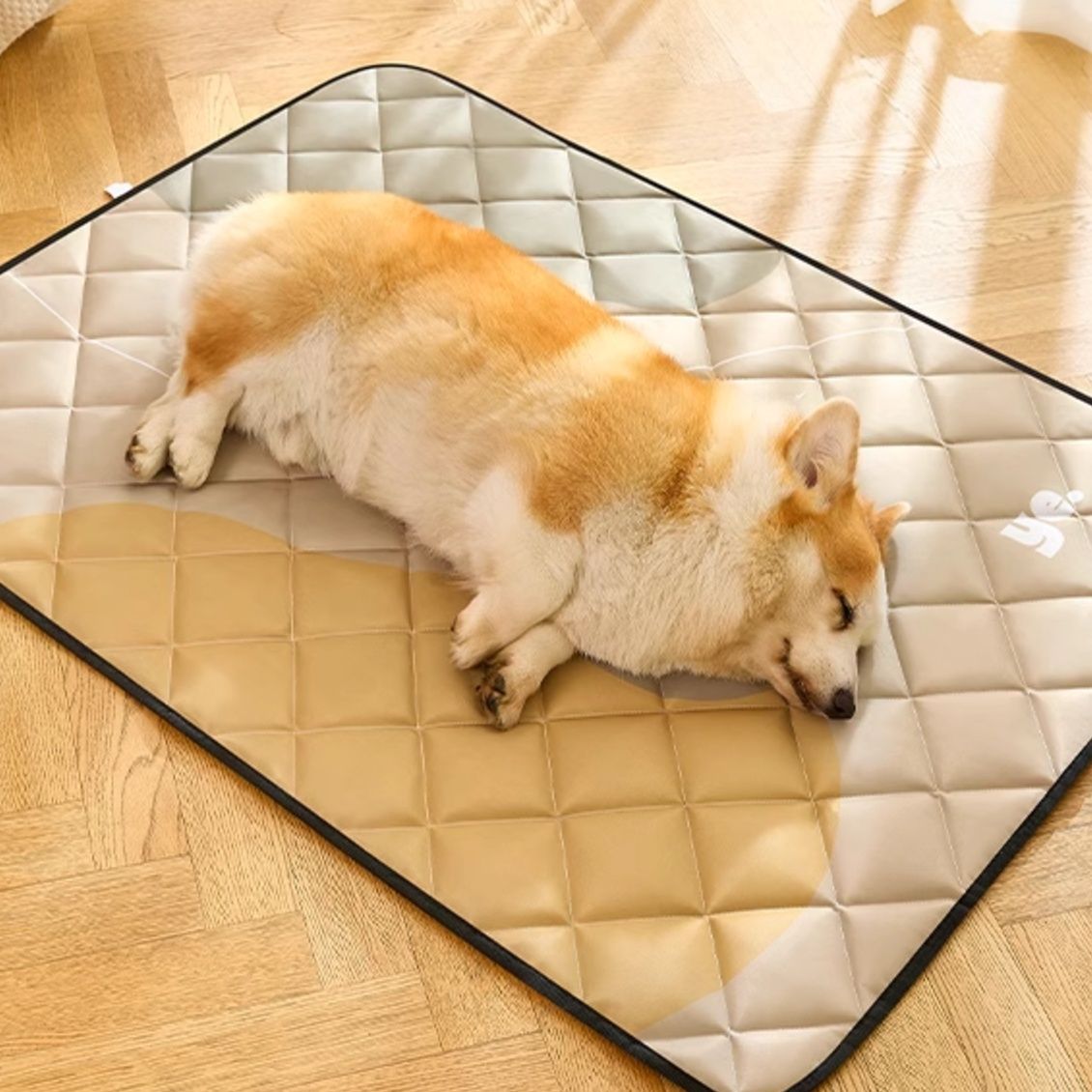 https://fulmo-img-server.com/mofuhug/1750919107617_dz3c62z5_iygd8hyj.jpeg