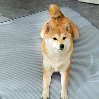ペットマット ひんやり極上ペットマット