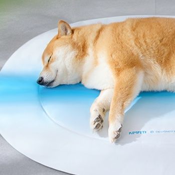 ペットマット 夏涼ひんやりペットベッド