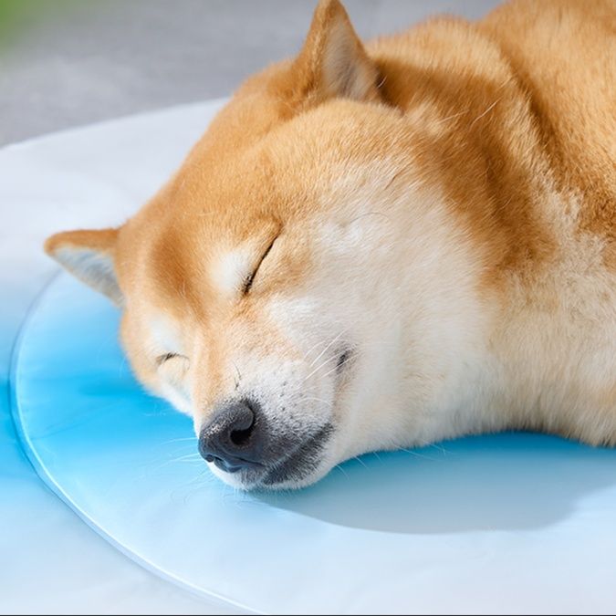 ペットマット 夏涼ひんやりペットベッド