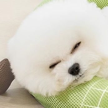 ペットマット 頸椎サポート安眠ペットクッション