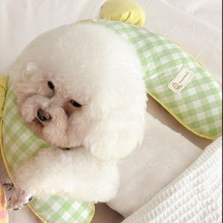ペットマット くまさん頭枕 愛犬の安眠サポート