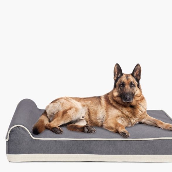 ペットマット 老犬快適安心マット