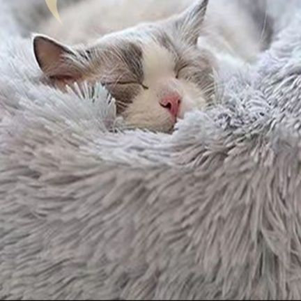 ペットマット もふもふ冬眠ドーナツベッド