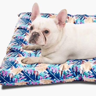 ペットマット ひんやり南国マット愛犬の夏眠りベッド