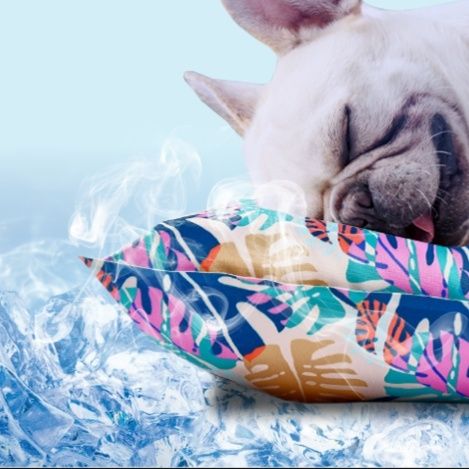 ペットマット ひんやり南国マット愛犬の夏眠りベッド