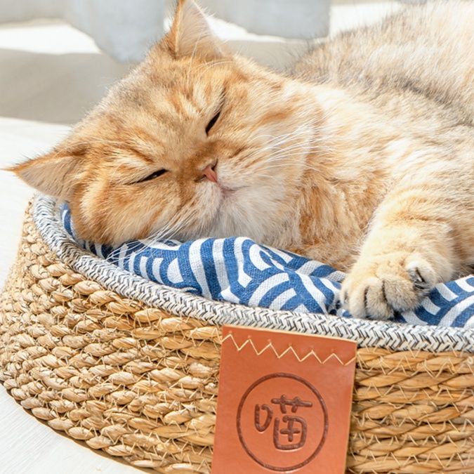 ペットマット 天然蒲草編み猫の寝床