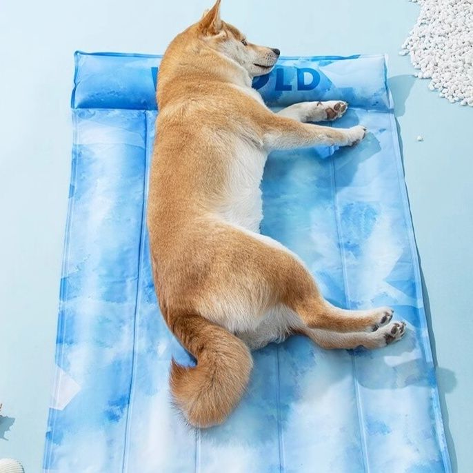 https://fulmo-img-server.com/mofuhug/1754289306661_1znjpkqo_3fzmi7cv.jpeg
