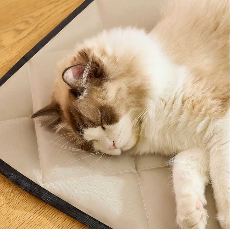 https://fulmo-img-server.com/mofuhug/1754380444824_akefrql4_arf4b0fz.jpeg