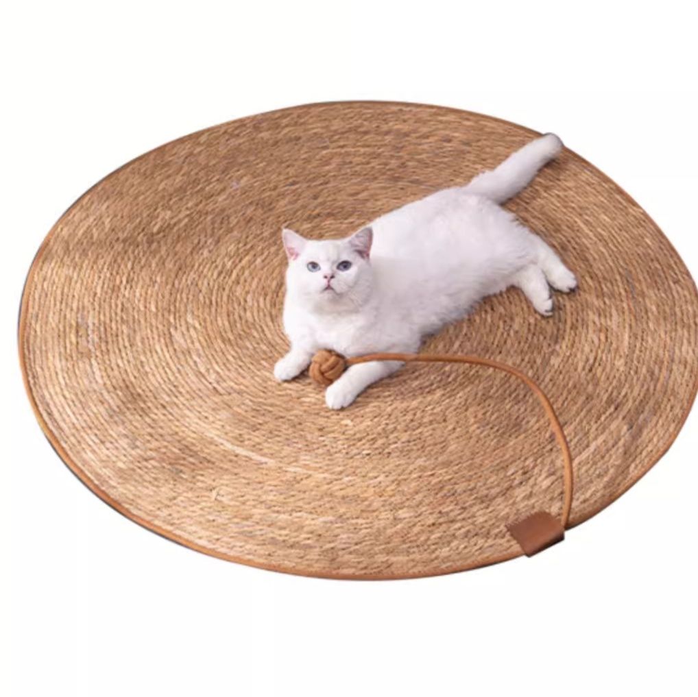 https://fulmo-img-server.com/mofuhug/1755568099294_mlrkpi8i_h9l0vypd.jpeg