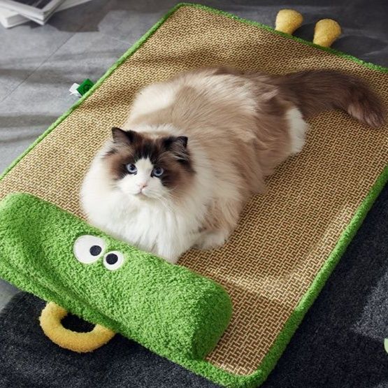 https://fulmo-img-server.com/mofuhug/1755829879732_vvv6h8ki_jwevmb8b.jpeg