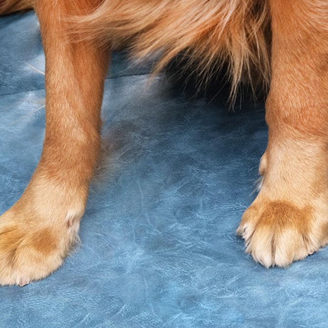 ペットマット 愛犬快適ドライブ専用車載防水保護シート