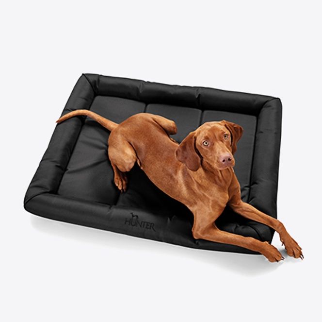 ペットマット 海綿枕つき高級犬用睡眠マット