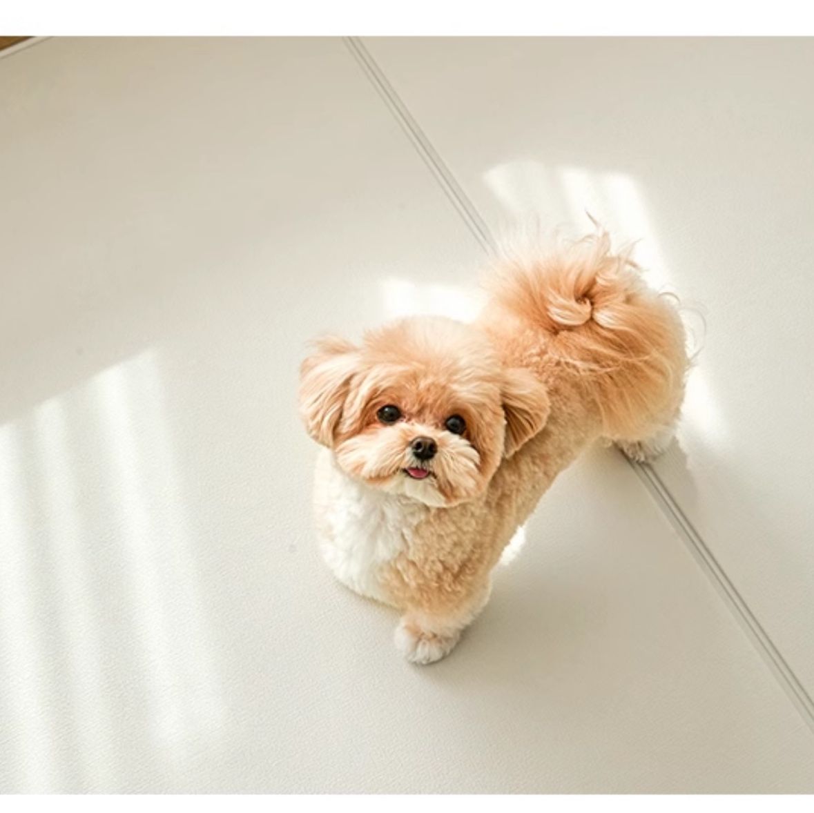 ペットマット 静音防音犬用組み合わせ自由敷物マット